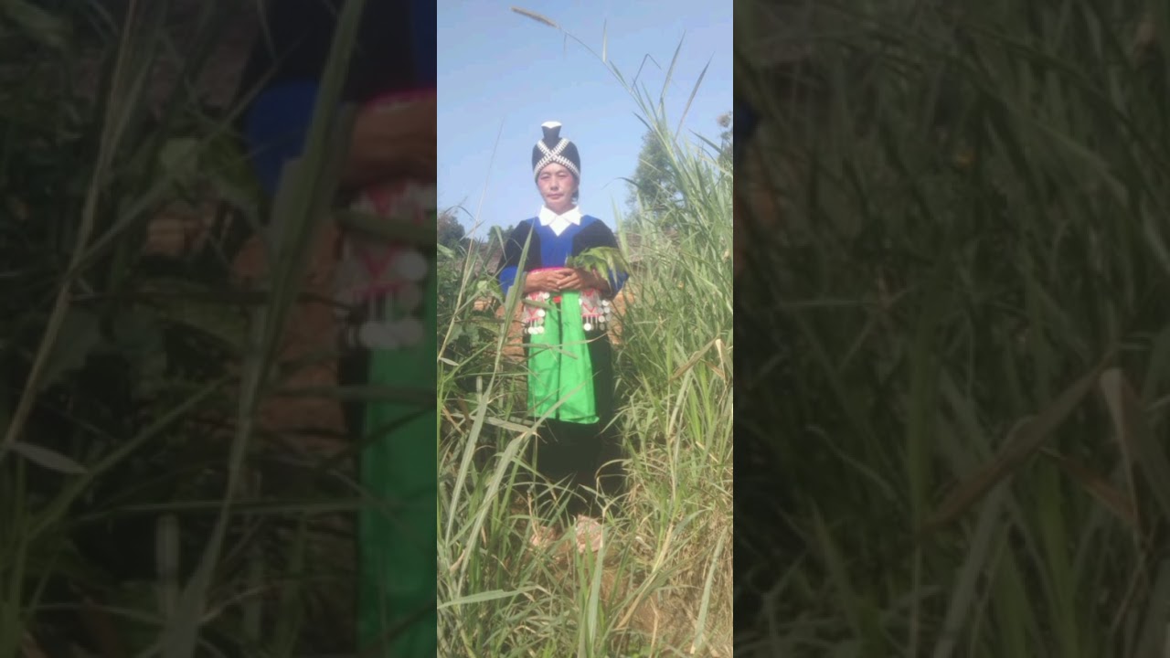 Muaj ib tus viv ncaus nkauj hmoo xyooj hais ib zaj kwv txhiaj rau tej me qu hluag nraug