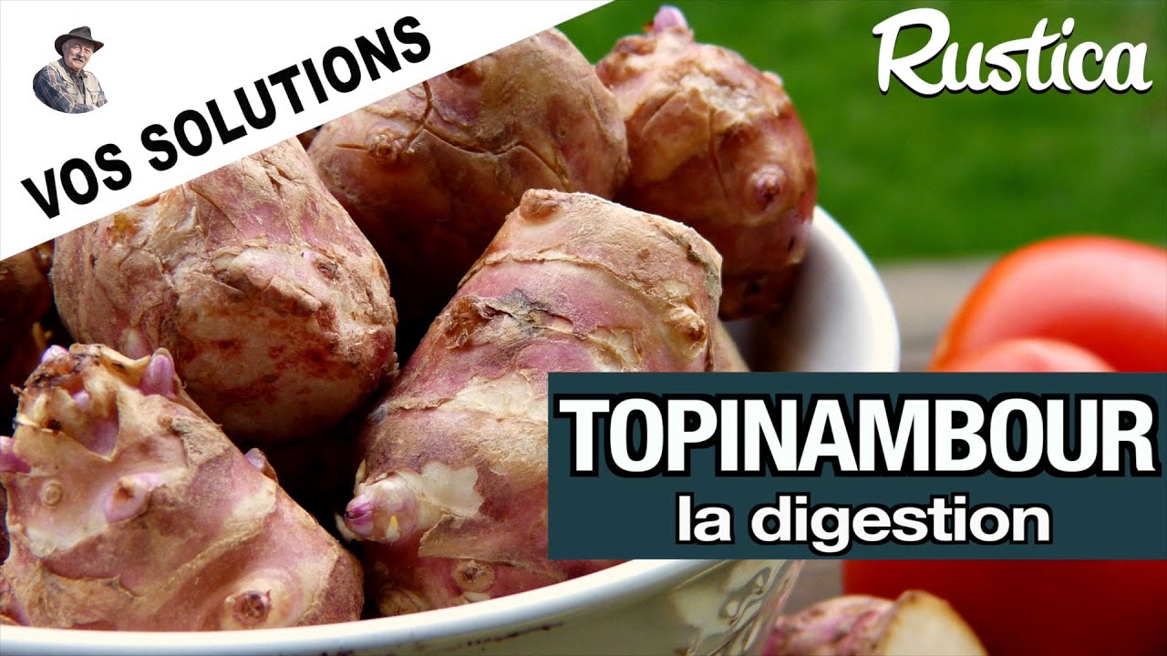 Comment bien digérer le topinambour ?