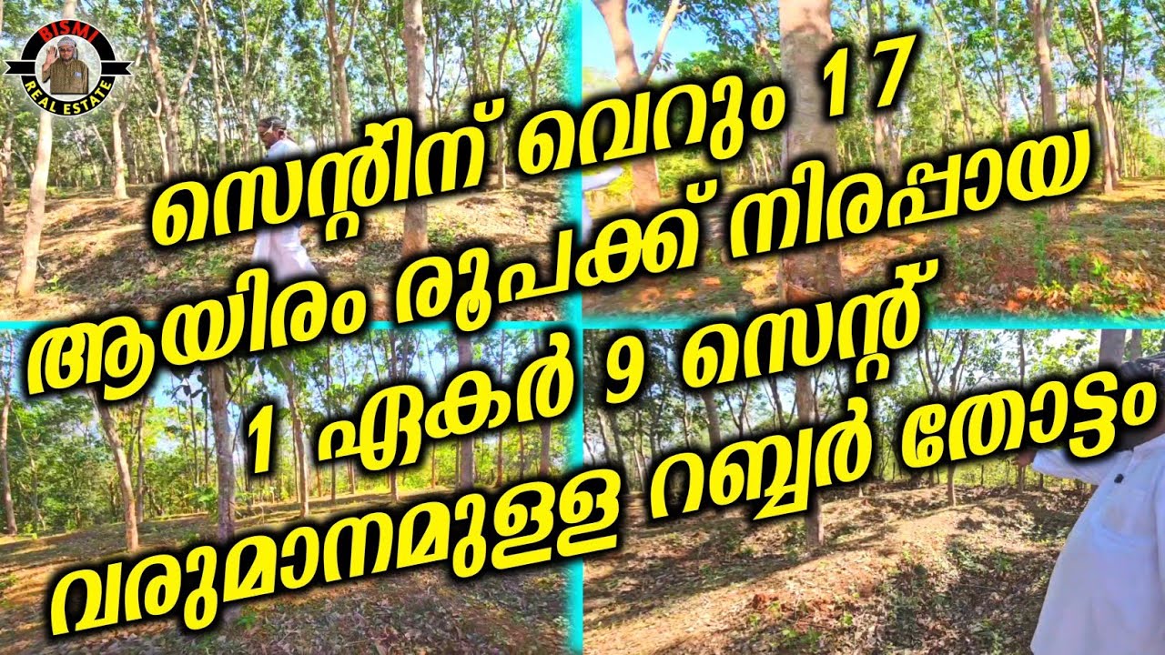 സെന്റിന് വെറും 17 ആയിരം രൂപക്ക് നിരപ്പായ 1 ഏകർ 9 സെന്റ് വരുമാനമുള്ള റബ്ബർ തോട്ടം | plotes for sale |