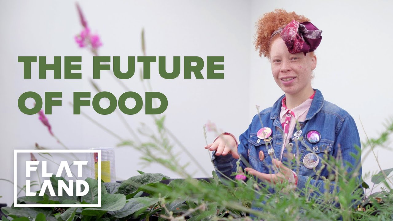 Are Perennial Crops the Future of Food? | Harvesting Change