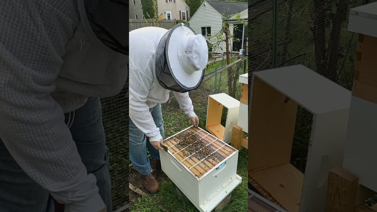 Followup Hive Work - September 29, 2025
