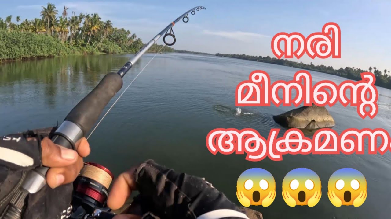 കാളാഞ്ചി പിടിക്കാൻ സൂപ്പർ lure #fishhunter #barramundi