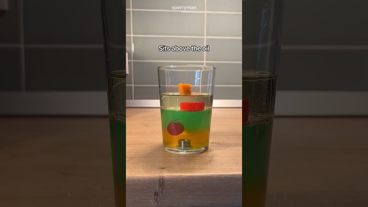 Liquid Density Experiment (With Objects)
