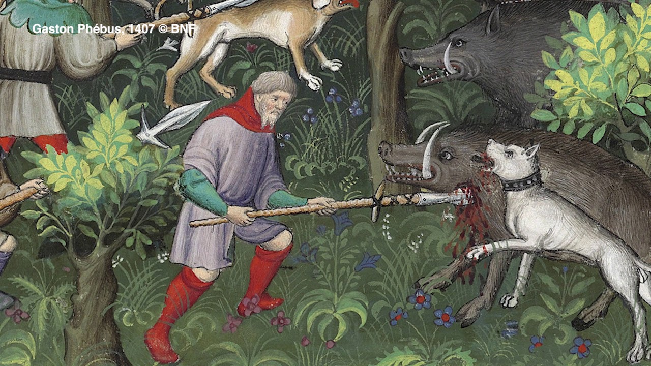 Medieval hunting lodges - New Forest History Hits