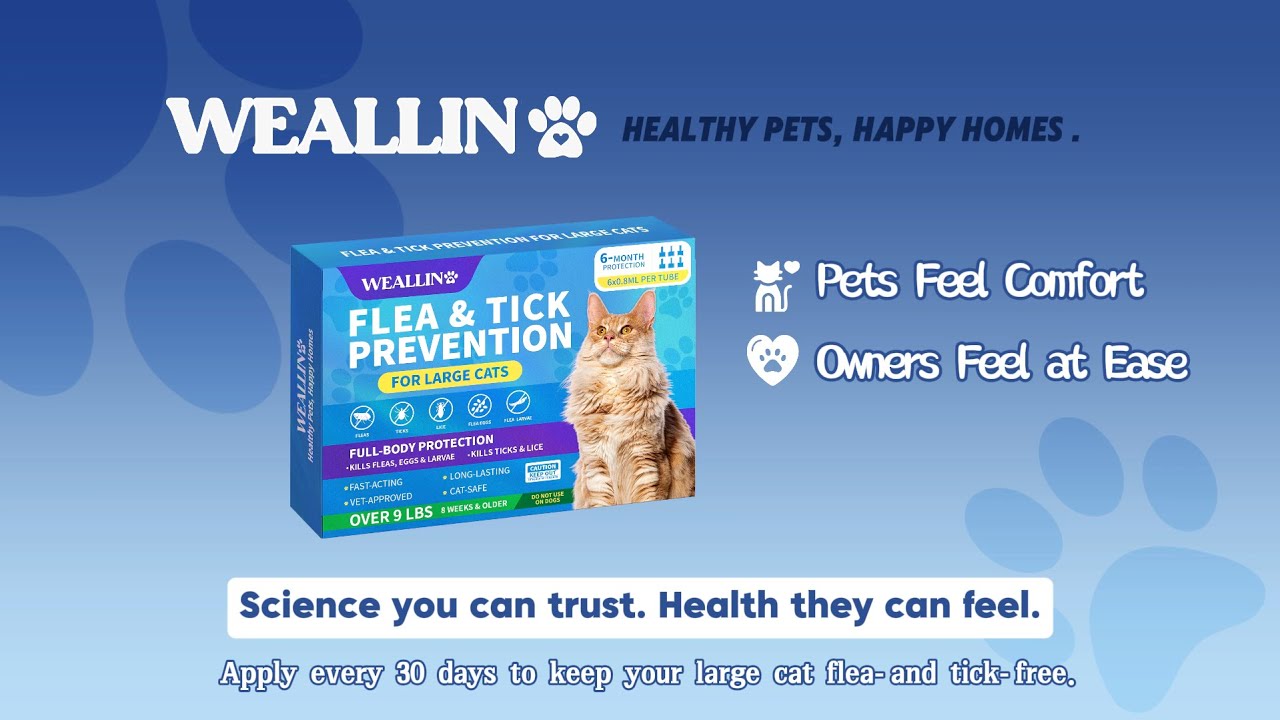 Topical Flea & Tick Prevention for Large Cats | WEALLIN