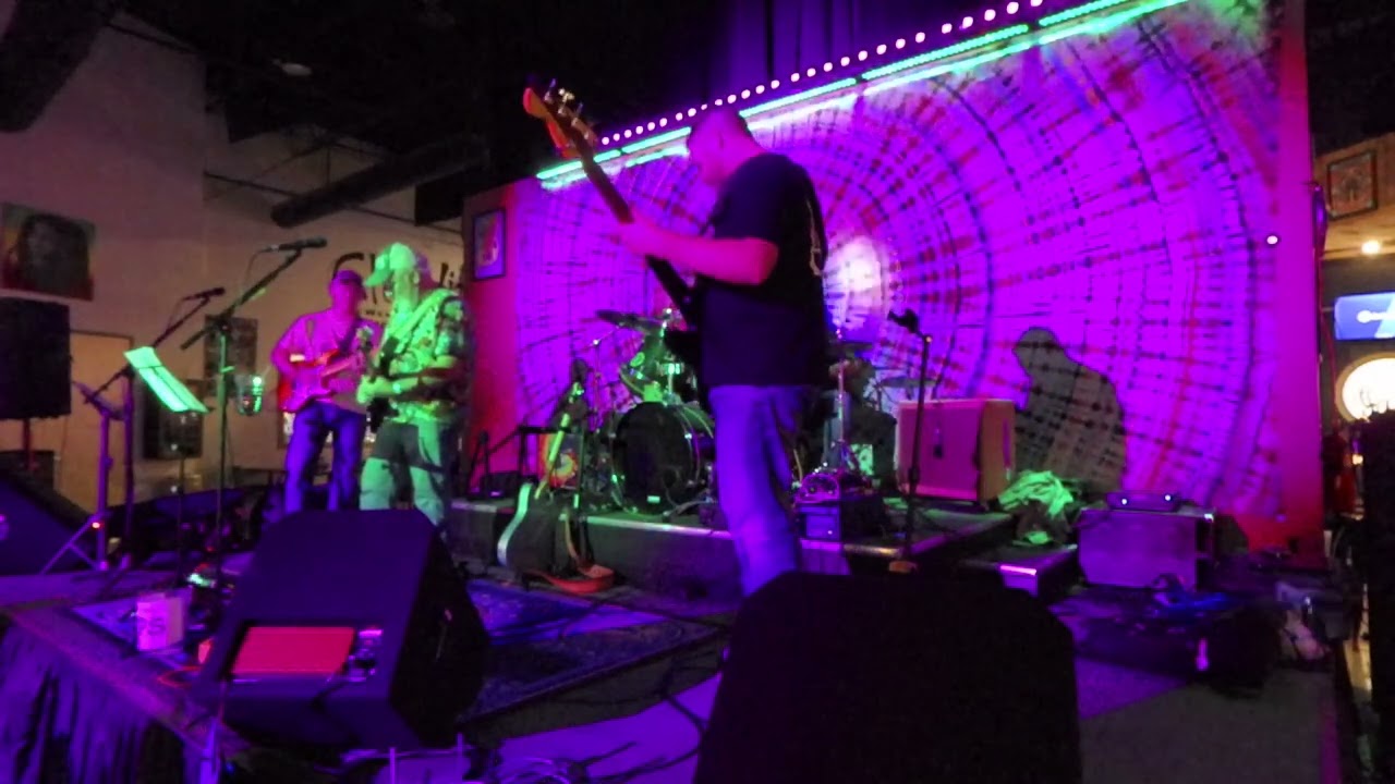 Cats On The Blacktop - Tangled Up in Blue