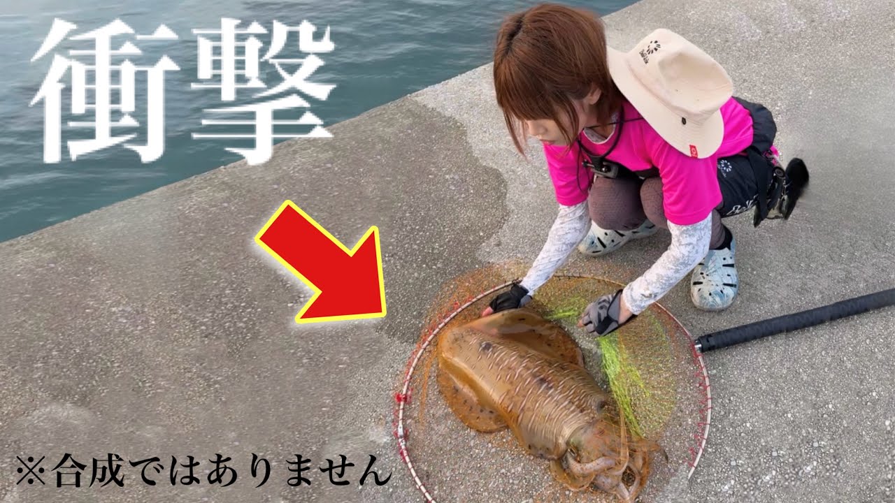 【衝撃映像】釣り人生最大の巨大イカを堤防から釣ってしまった‼