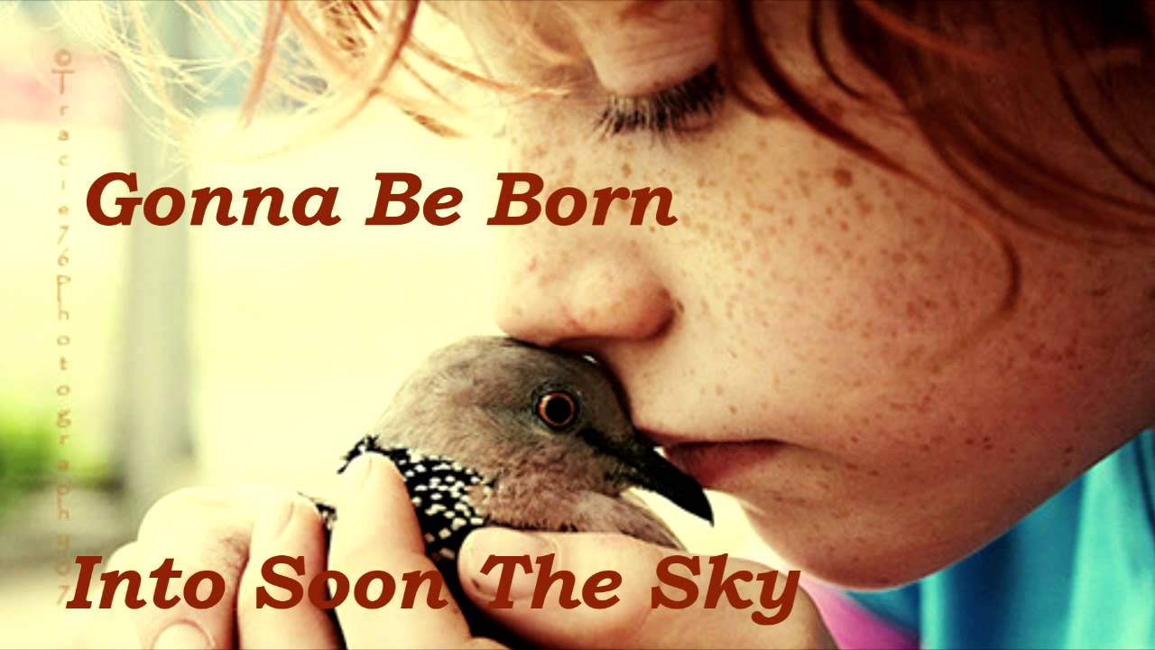 Antony & The Johnsons - Bird Girl Lyrics