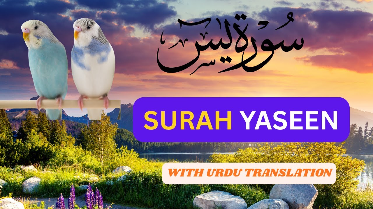 Surah Yaseen | Heart of the Quran | Beautiful & Peaceful Recitation #Surahyaseen