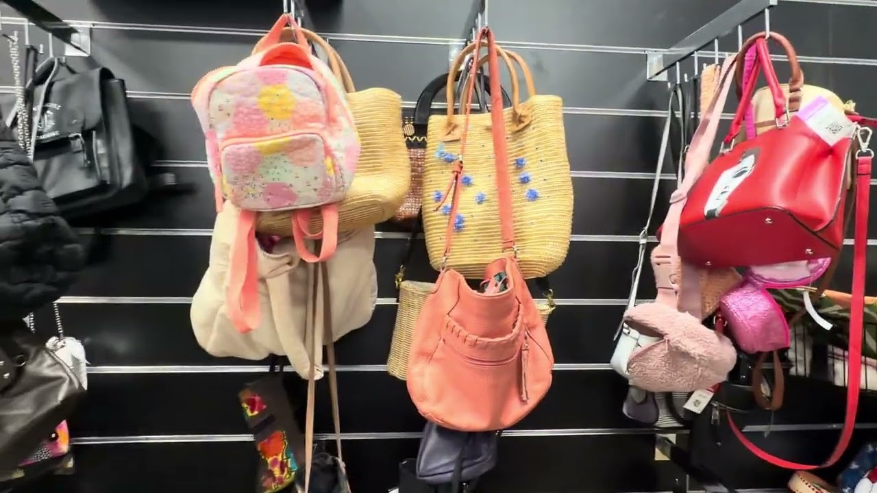 The goodwill store 