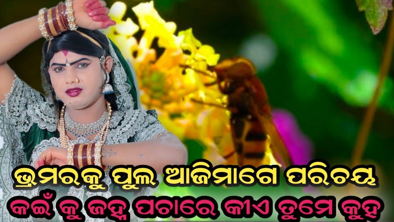 ବ୍ରହ୍ମର କୁ ଫୁଲ ଆଜି ମାଗେ ପରିଚୟ benjaren danda chindaguda danda chindaguda Ramakanta radha official 
