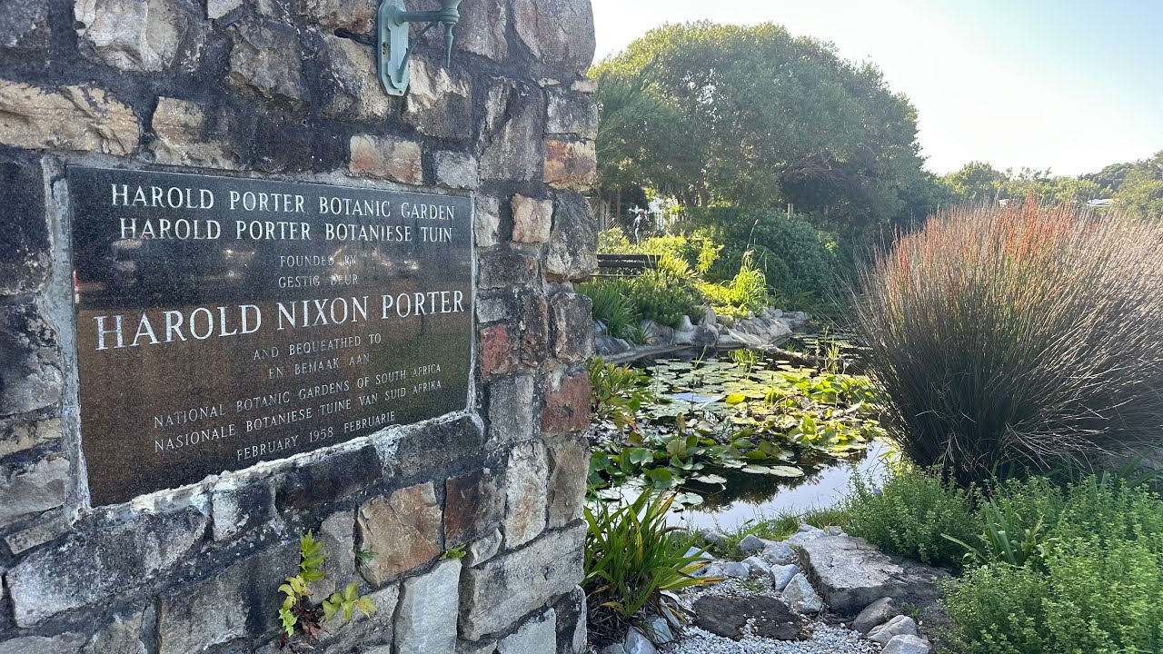 Birding in the Western Cape : E2 Harold Porter Botanical Garden