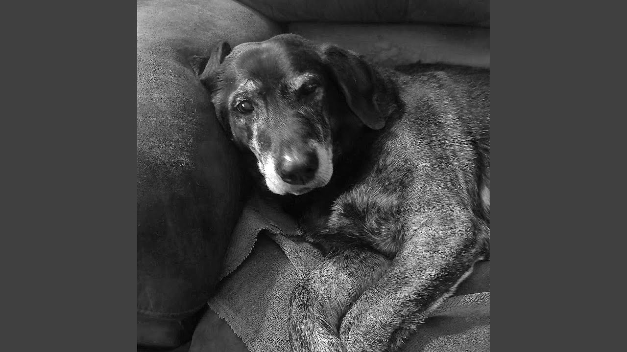 Shadows and Memories