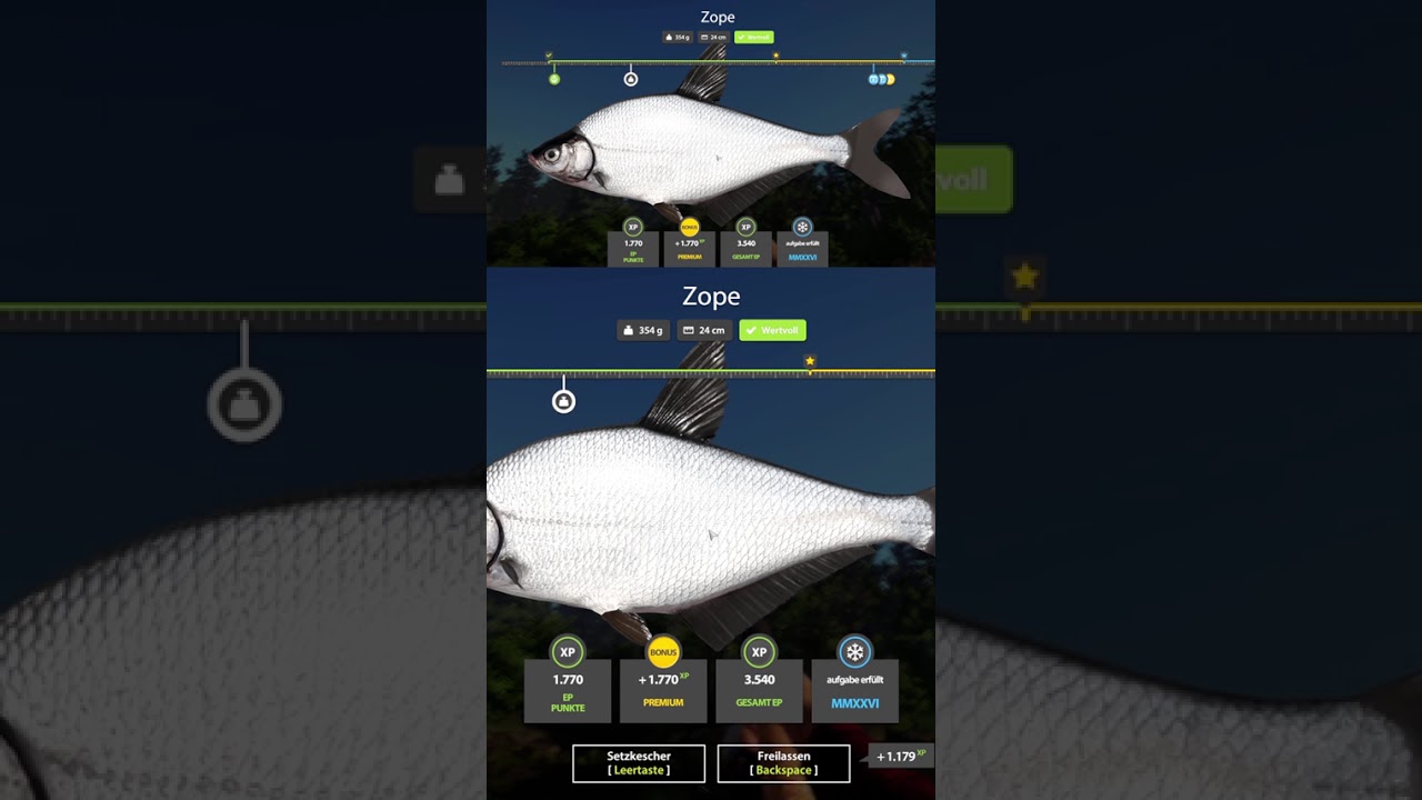 Zope f&uuml;r Winteraufgabe am Windenbach 110:125 clip 9m K&ouml;der Seealge | #c4rphunter auf #Twitch