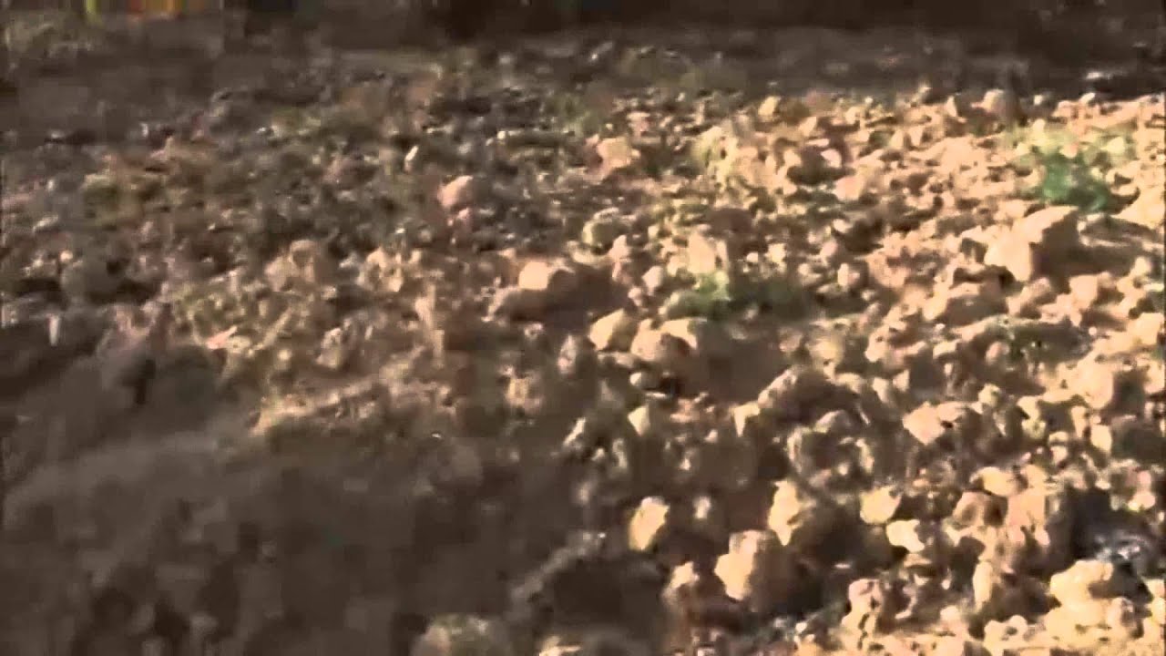 VIDEO PRESENTACION BODEGAS CEPA 21