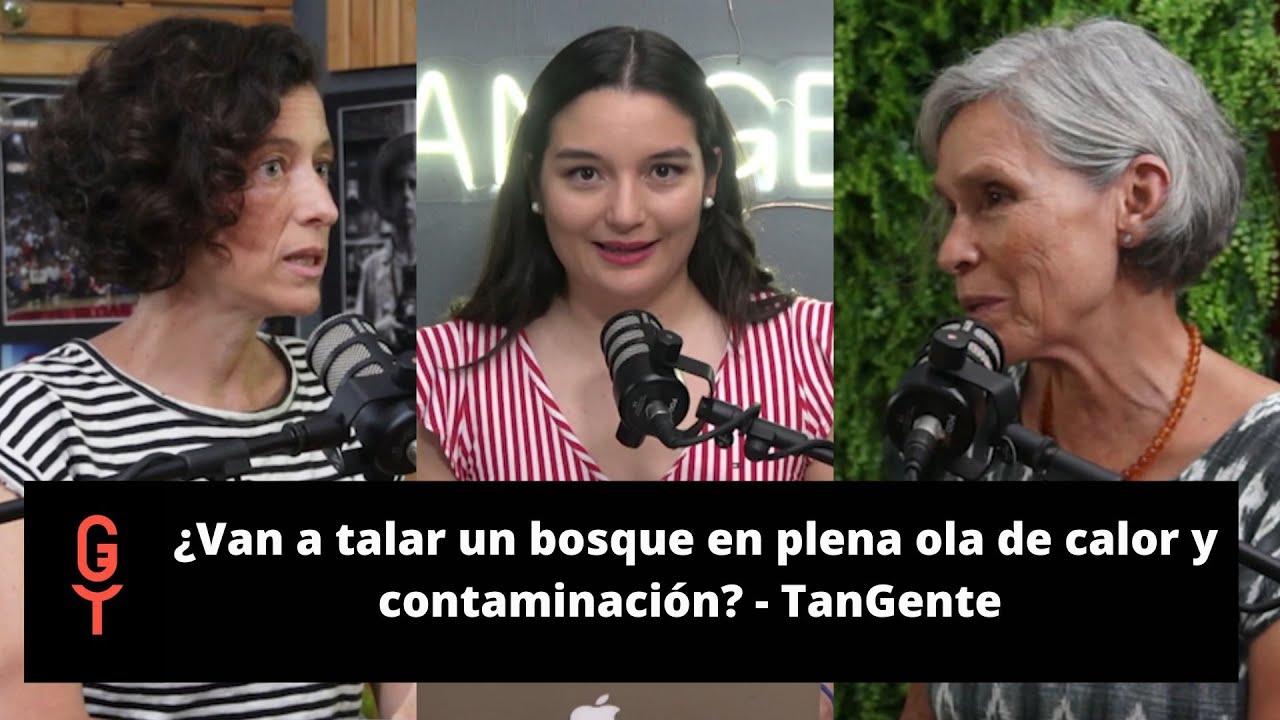 ¿Van a talar un bosque en plena ola de calor y contaminación? - TanGente