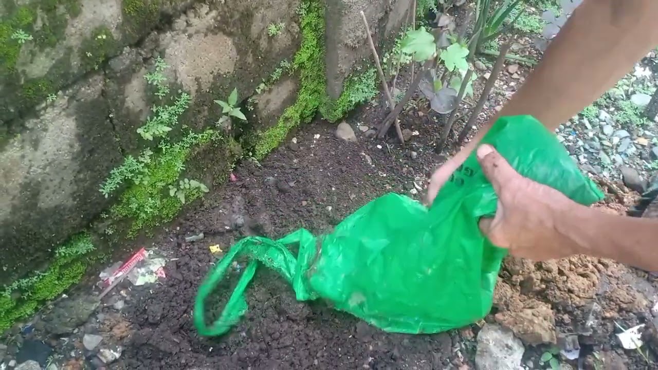 Ano ang magandang gamitin loam soil or organic garden soil