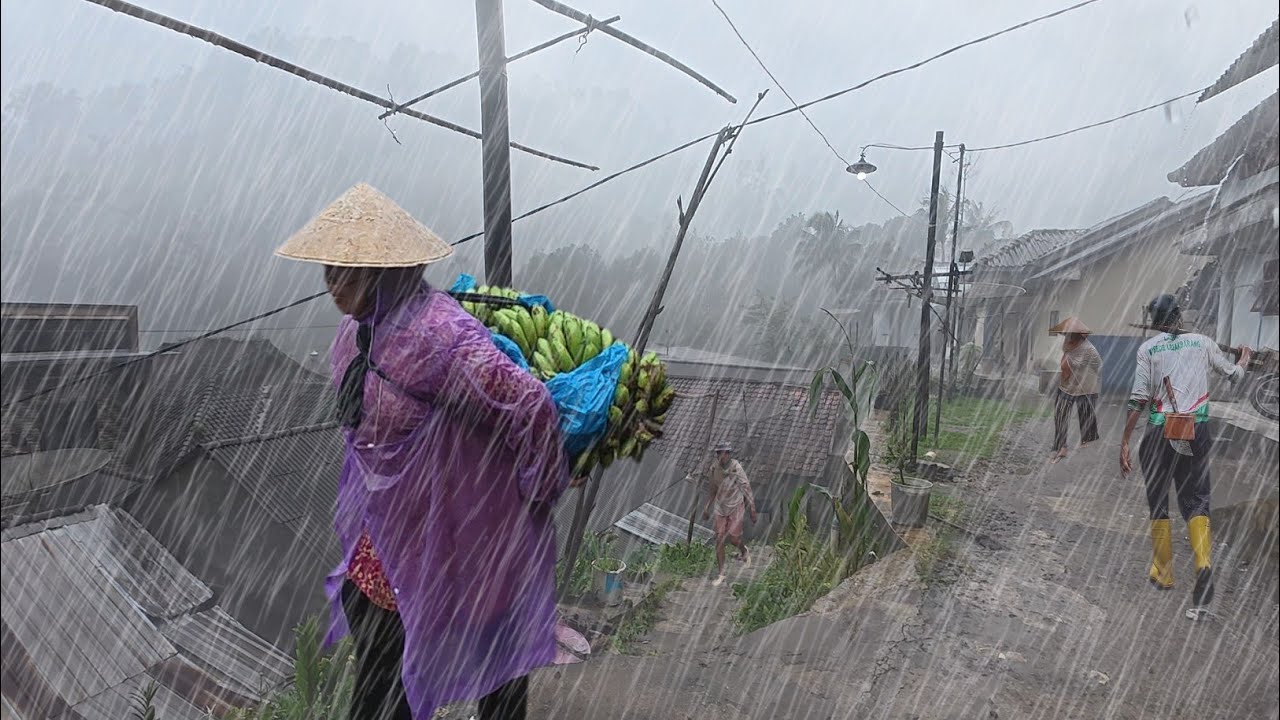 Heavy Rain and Thunder hit Beautiful Indonesia's Mountain Village | Very Relaxing Rain | For Sleep