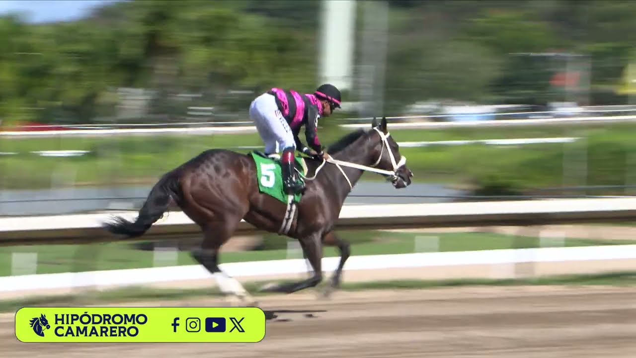 CARRERA 2 - 20/MARZO/2026 (FELIX F.)