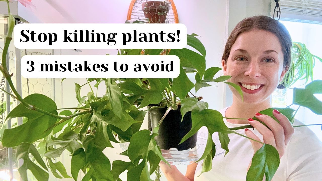 3 Houseplant mistakes to avoid ❌ What to do instead!