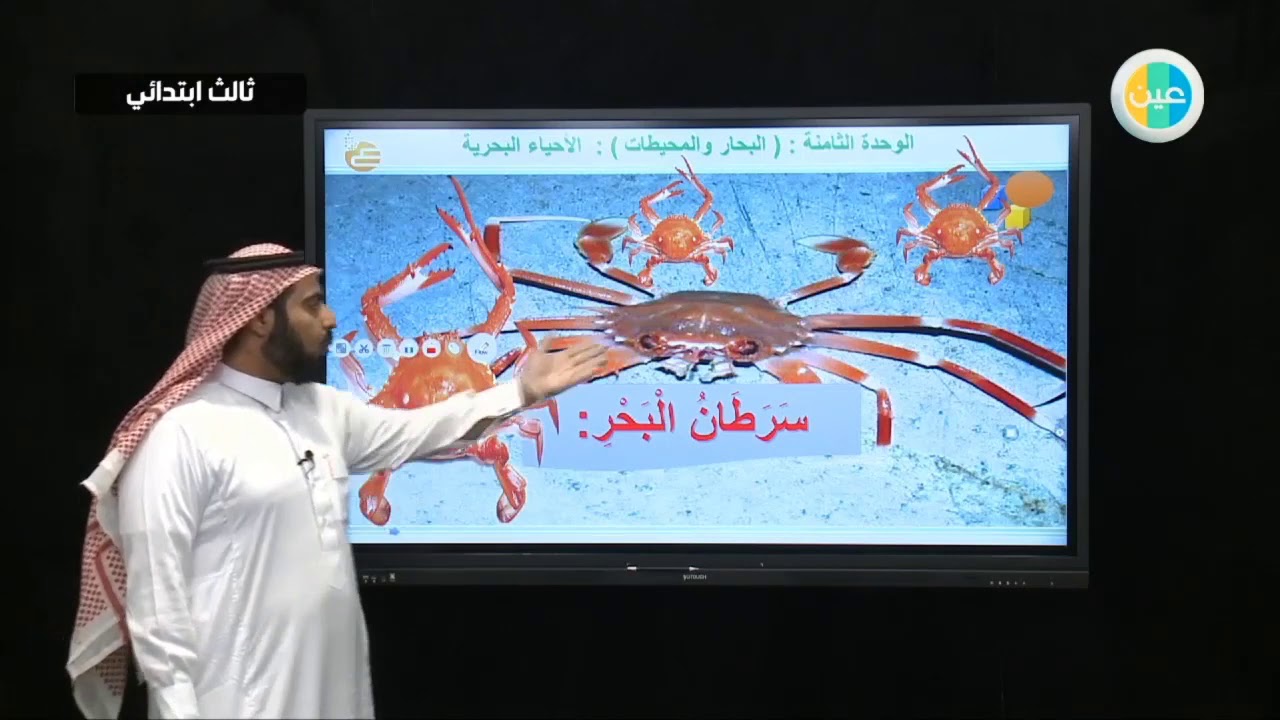 دروس عين |الوحدة الثامنه :(البحار والمحيطات ) الدرس الأول: الأحياء البحرية– لغتي – ثالث ابتدائي
