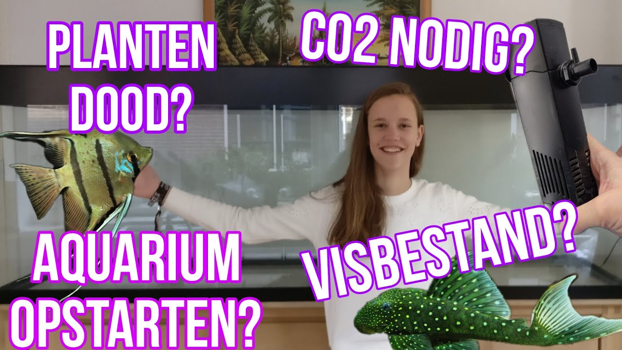 TOP 10 AQUARIUMVRAGEN! wordt WEGWIJS in de HOBBY! //Nickey//