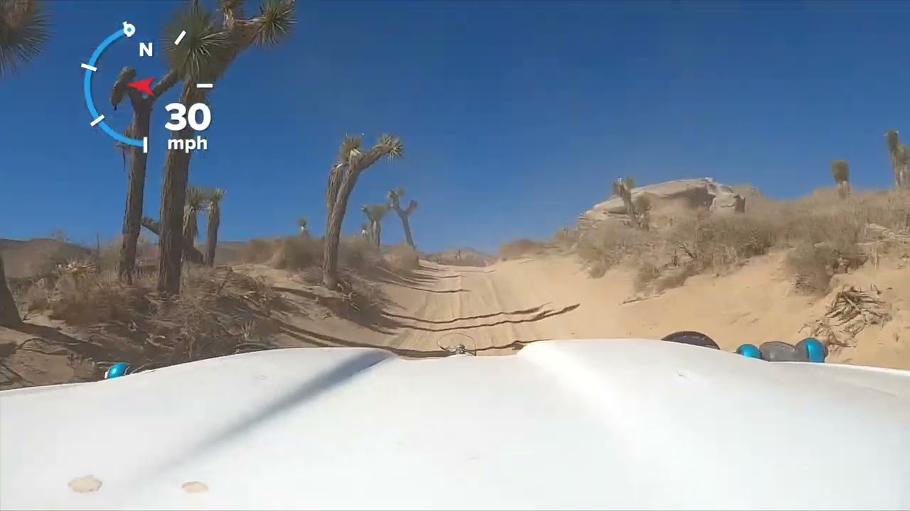 Dove Springs Halloween 2022
