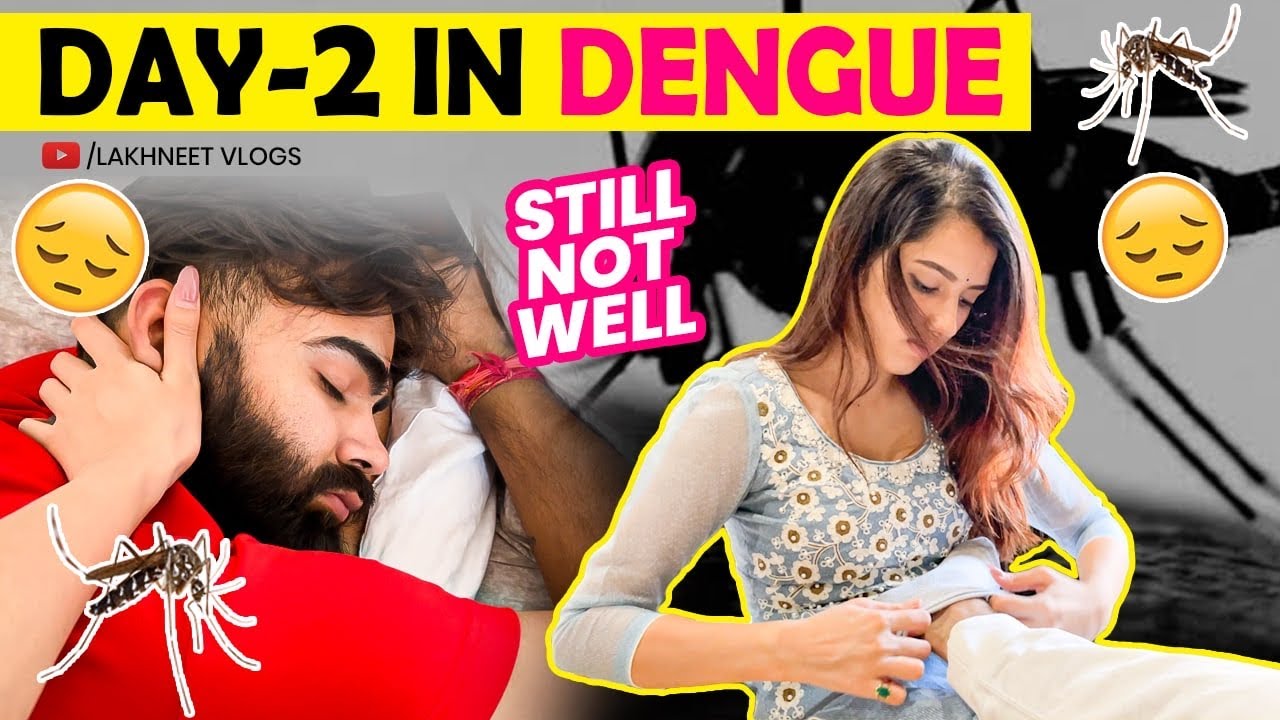 Dengue is Really Dangerous 😣