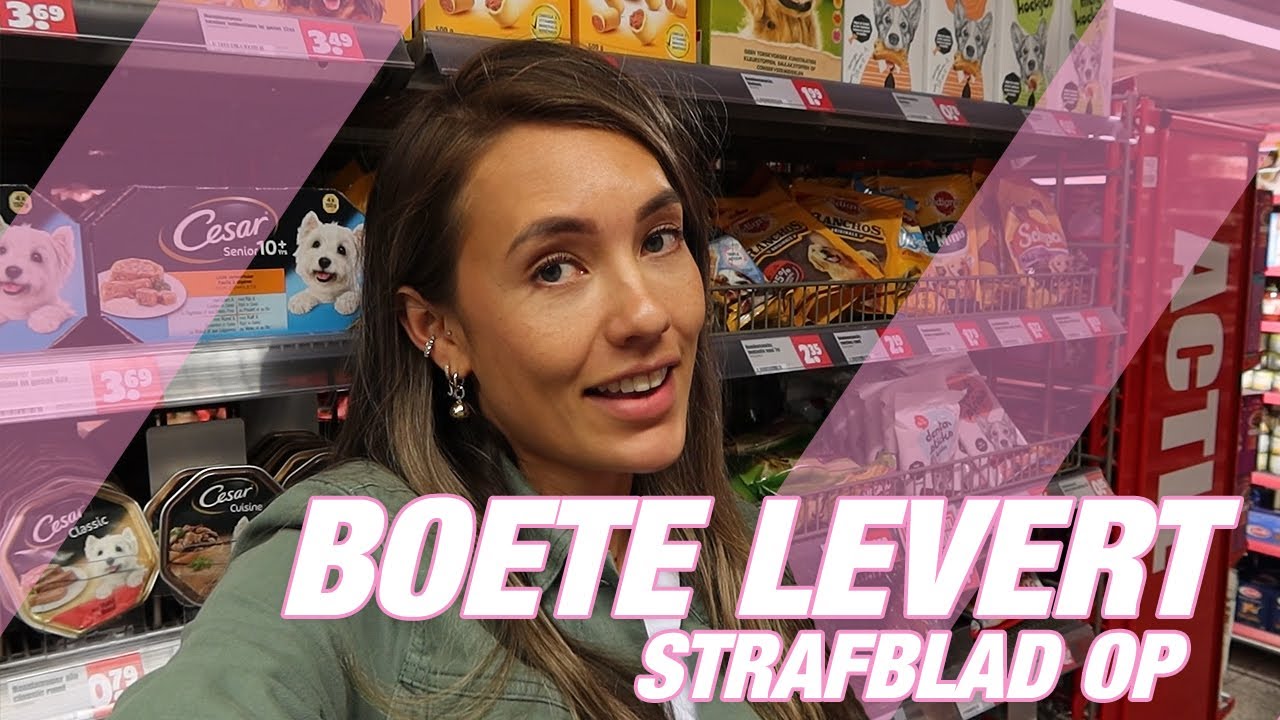 4 DAGEN GEVANGENISSTRAF VOOR STELEN VAN EEN HONDENBOT VAN €2,- | JULIA WERKT #2