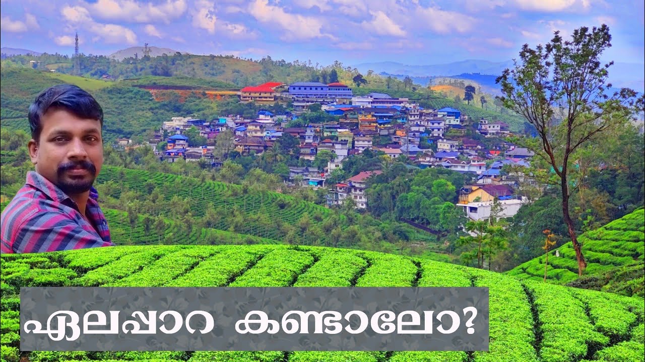 ഏലപ്പാറയും ബോണാമിയും പിന്നെ ഞാനും 🌱 Elappara | Bonami