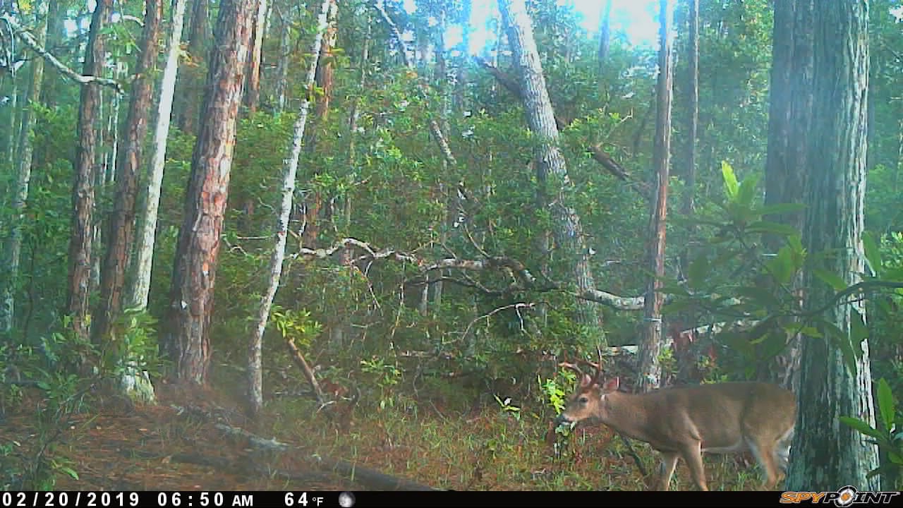 2019 Tiger Bay Camera pull before the Storm
