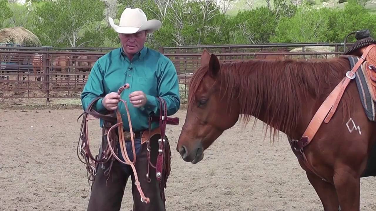 Overview of Headstall Bit End Selections