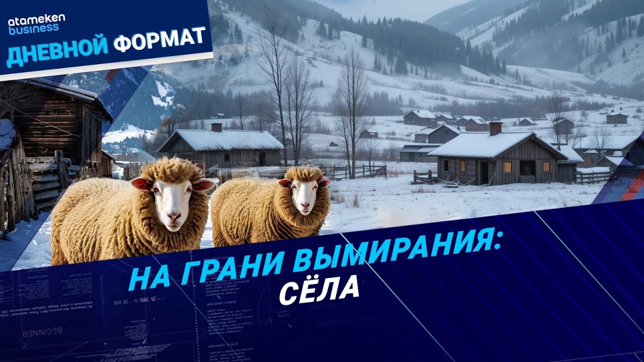 НЕ СТАЛО ТЫСЯЧИ СЁЛ ЗА 5 ЛЕТ / Дневной формат / 30.01.25