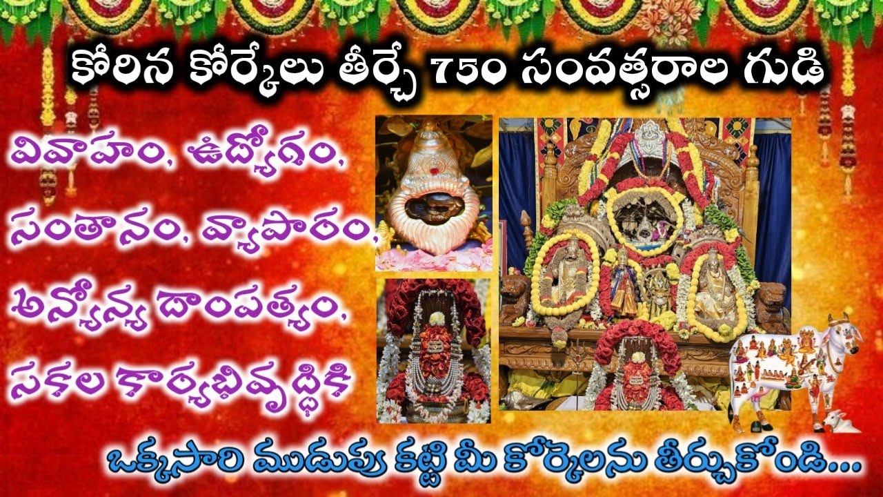 kalpa vruksha narasimha swamy temple |place to visit in bhadrachalam|ముడుపుకడితే కోరికలు తీర్చే గుడి