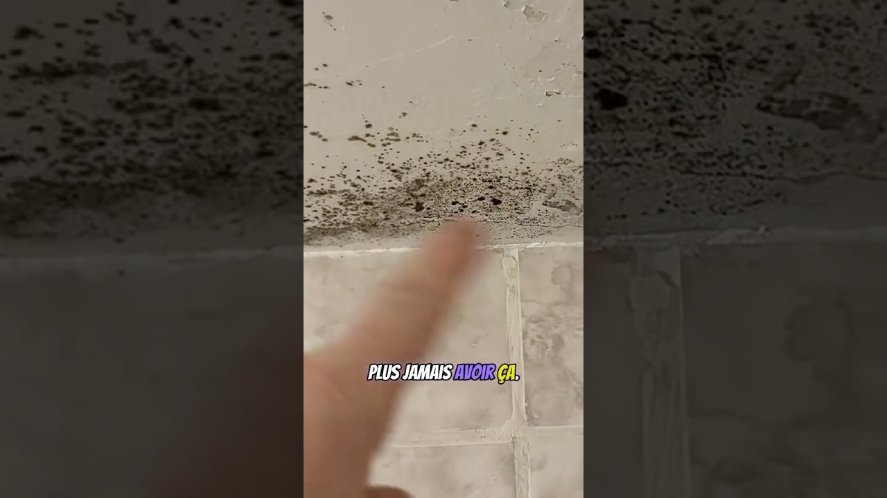 Comment &eacute;liminer les moisissures sur les murs et plafonds D&eacute;finitivement