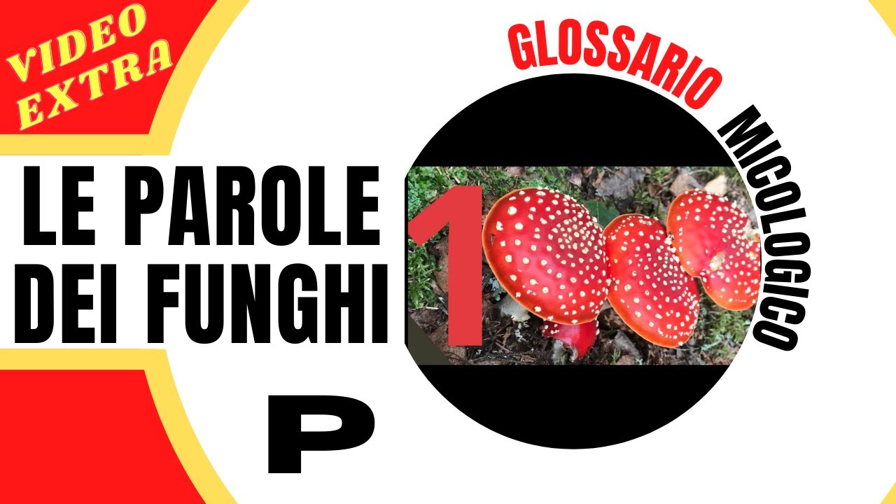 Glossario micologico - Le parole dei funghi