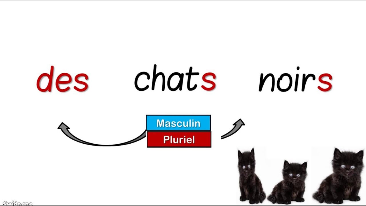 CE1 L'accord de l'adjectif qualificatif