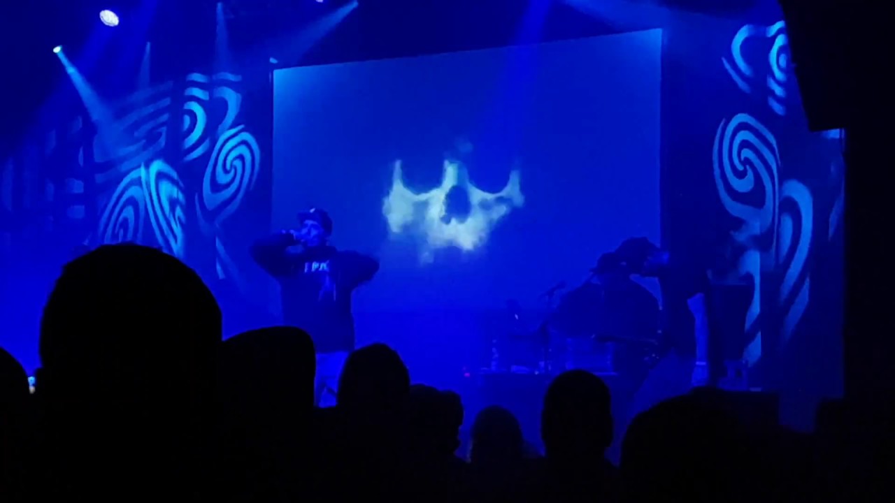 Kaliber 44 - Psychoza feat. Rahim live @ Progresja, Warsaw 25.11.2016 HD 1080p