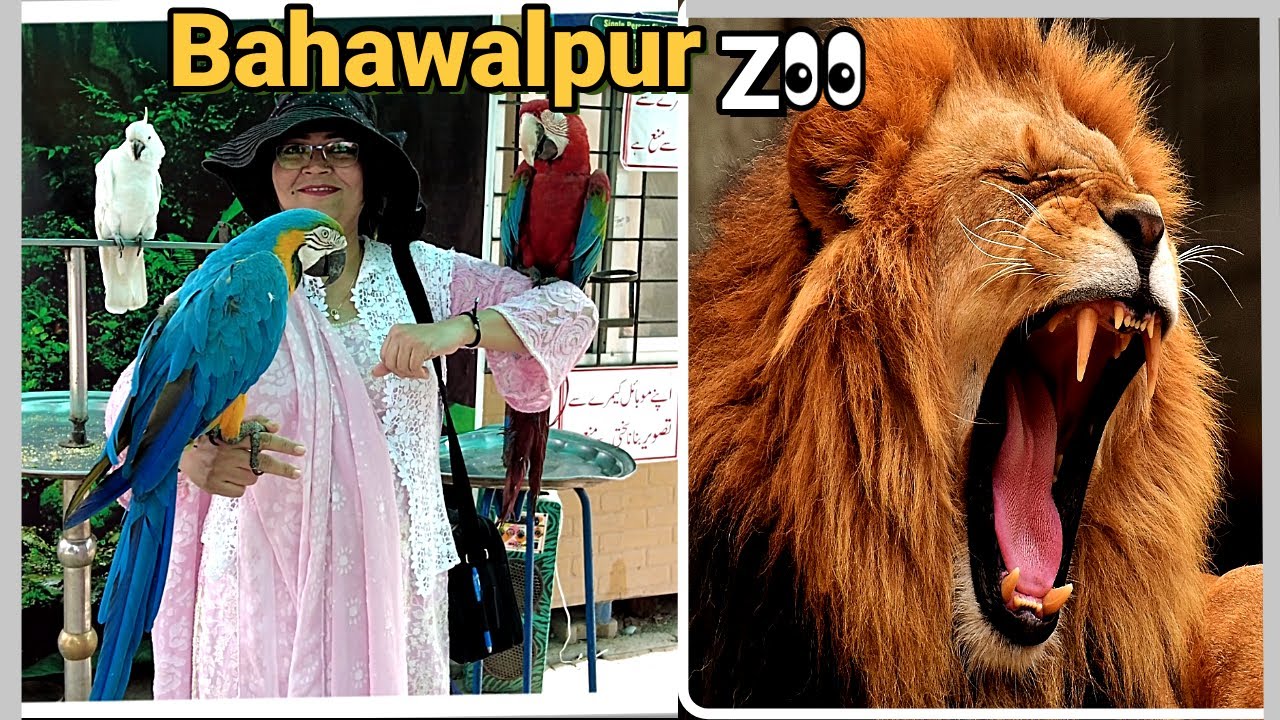 84 years old The Bahawalpur Zoo is the fourth biggest zoo in Pakistan💖 #travelwithbinra