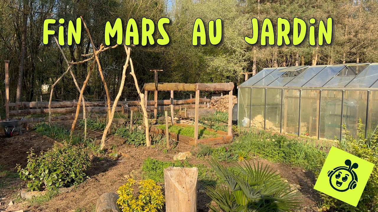 Fin mars au jardin : Ce que je fais en ce moment !