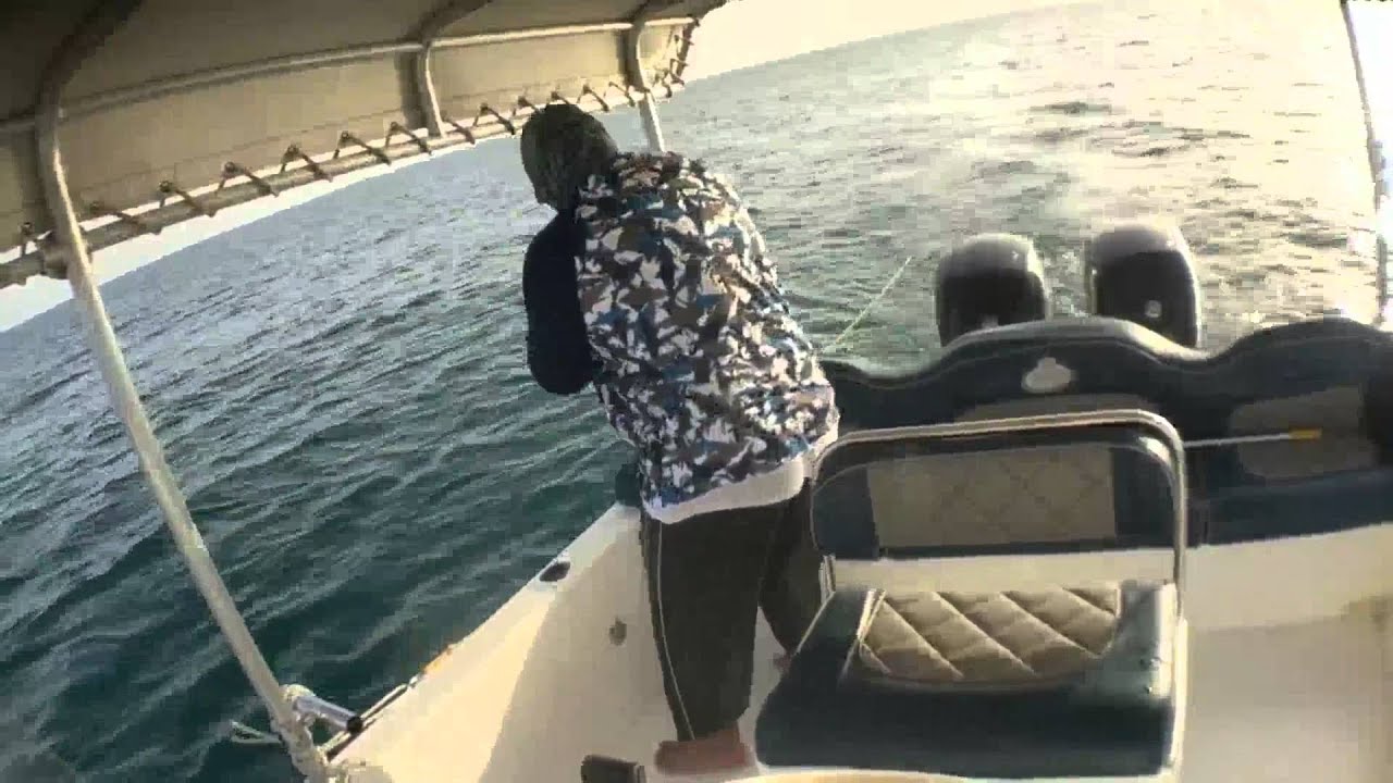 Trolling for cobia double strike