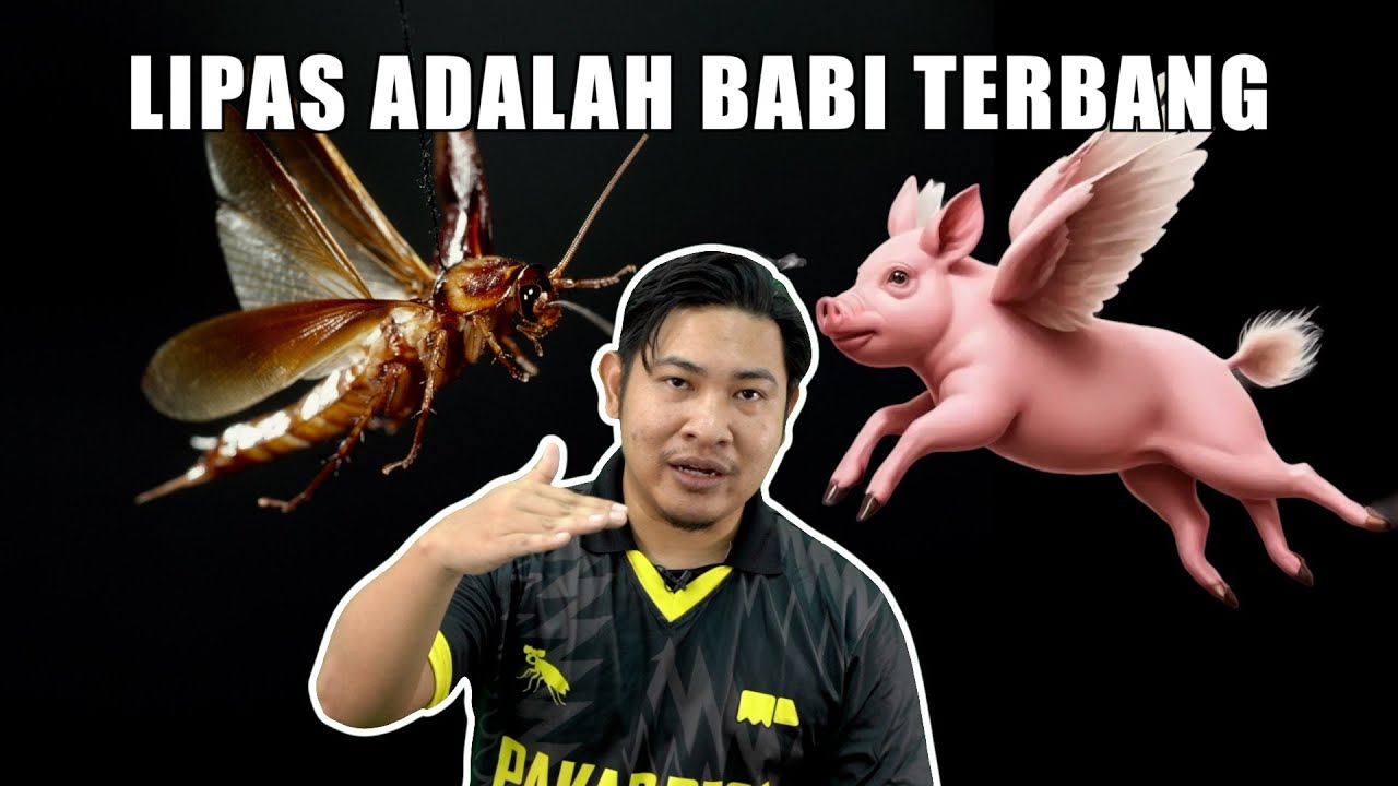 Ini Cara Tak Nak Bagi Lipas Terbang