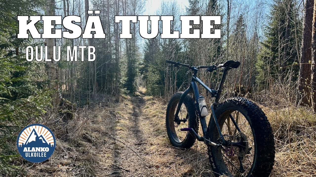 Kesä tulee 2024