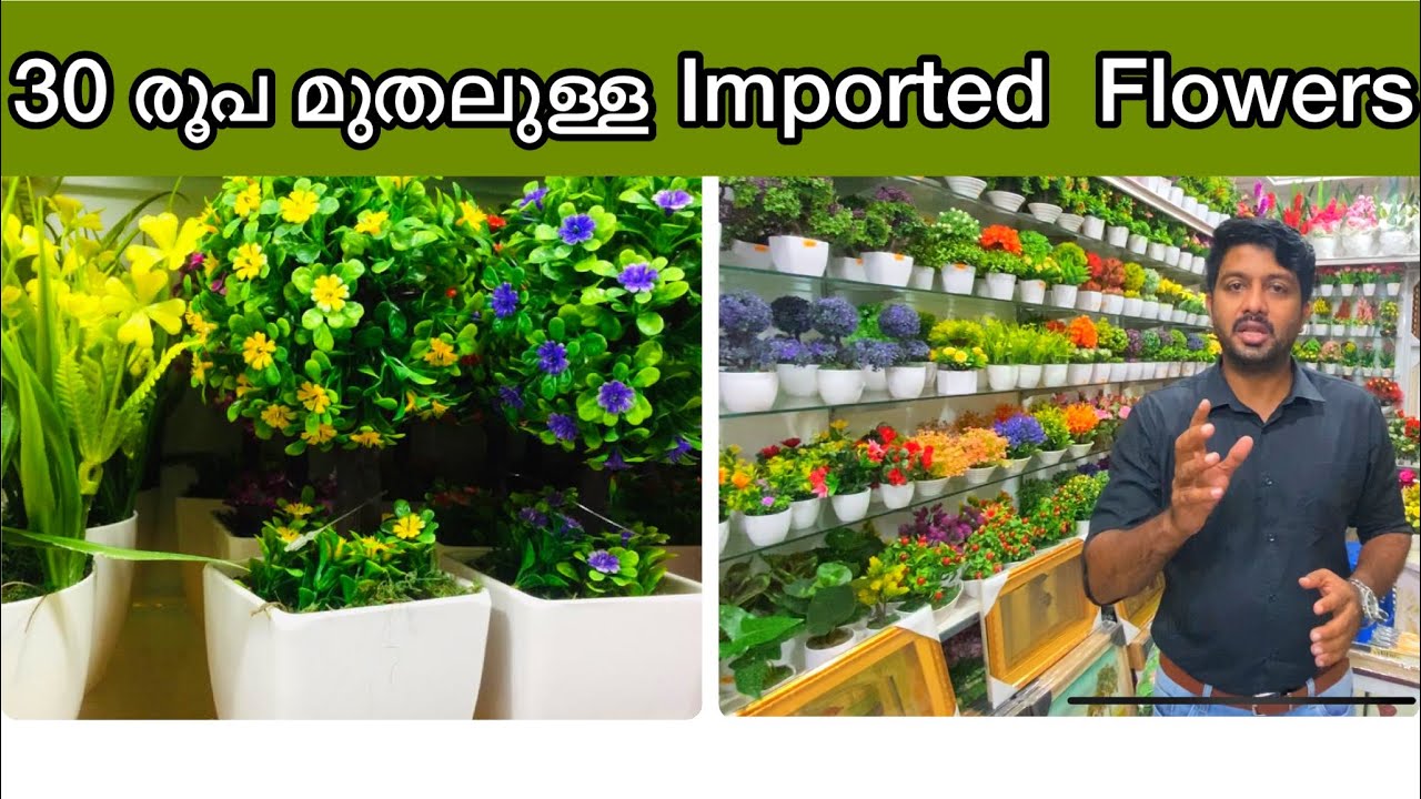 Imported Flowers Starts From Rs-30/- / Home Decor shop /Cisel Shak Vlog