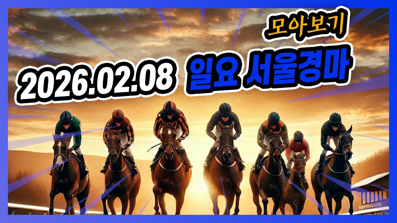 2026년 2월 8일 일요 서울경마 전체경주 모아보기