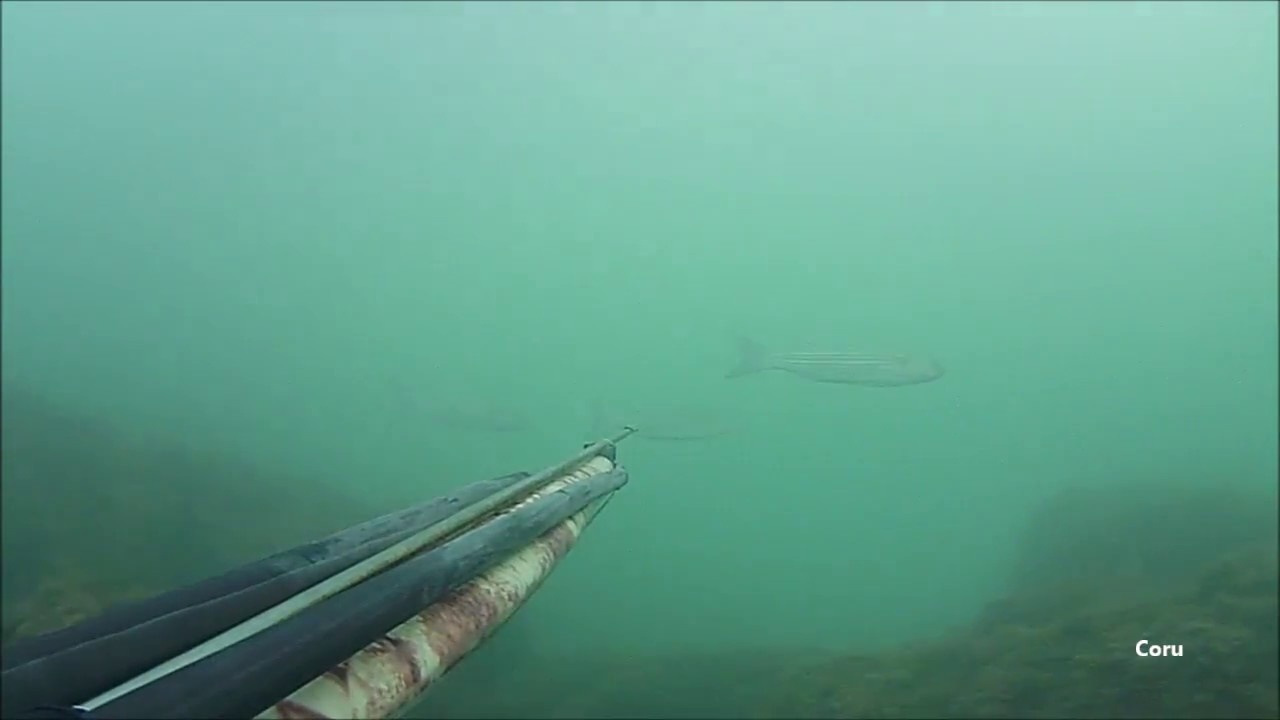 Pesca Sub 2017 Tre Muggini