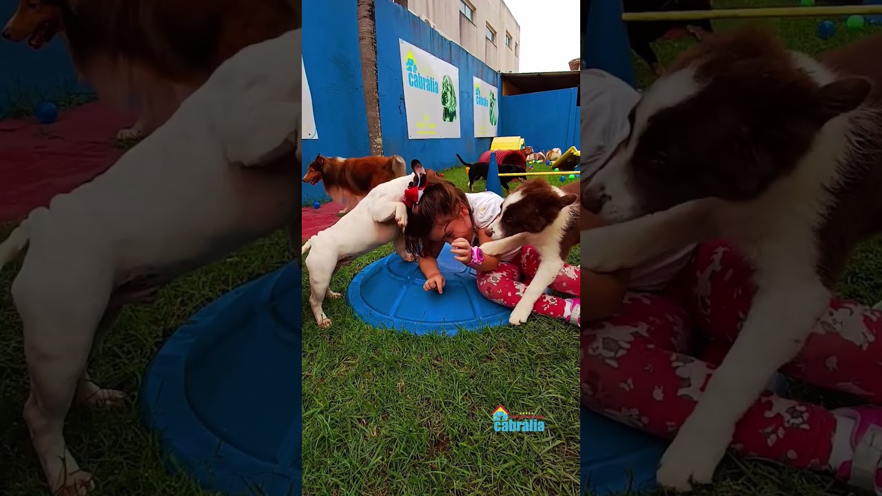 O S&Atilde;O JO&Atilde;O 2025 DO HOTEL PARA C&Atilde;ES CABRALIA EM SALVADOR BAHIA #bahia #salvador #salvadorbahia