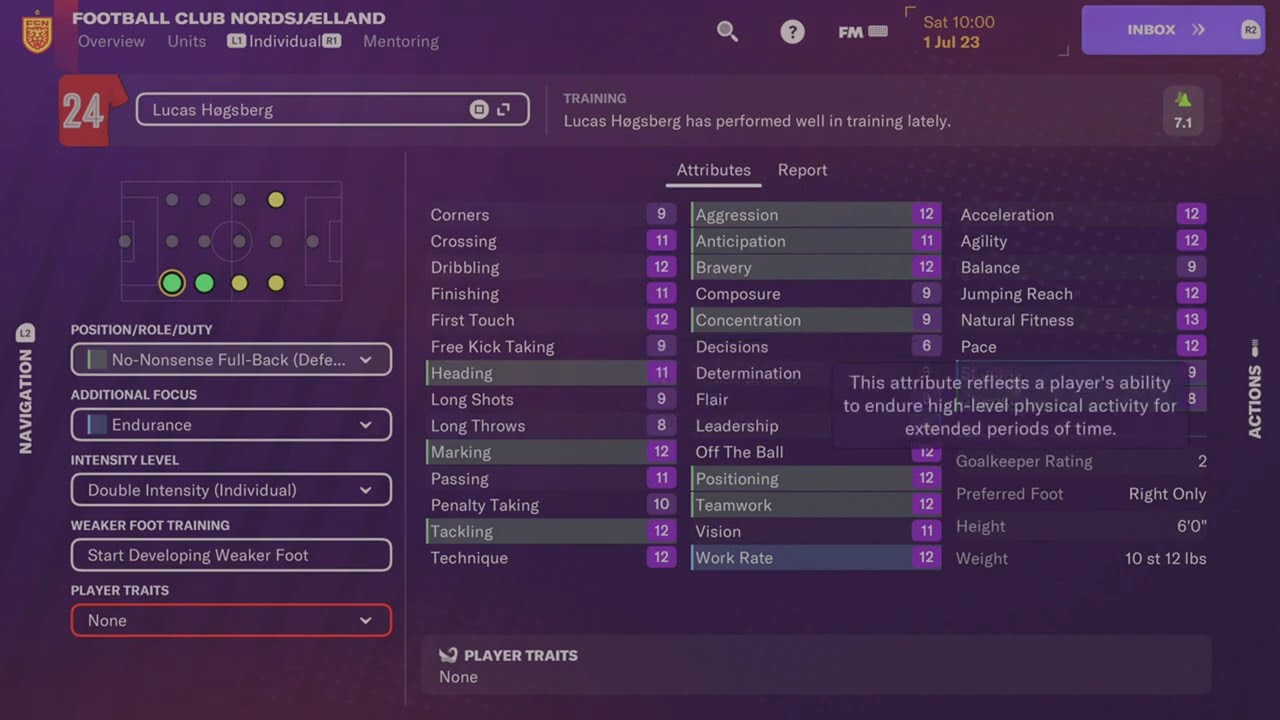 How to use the Individual Training Screen | FM24 Console