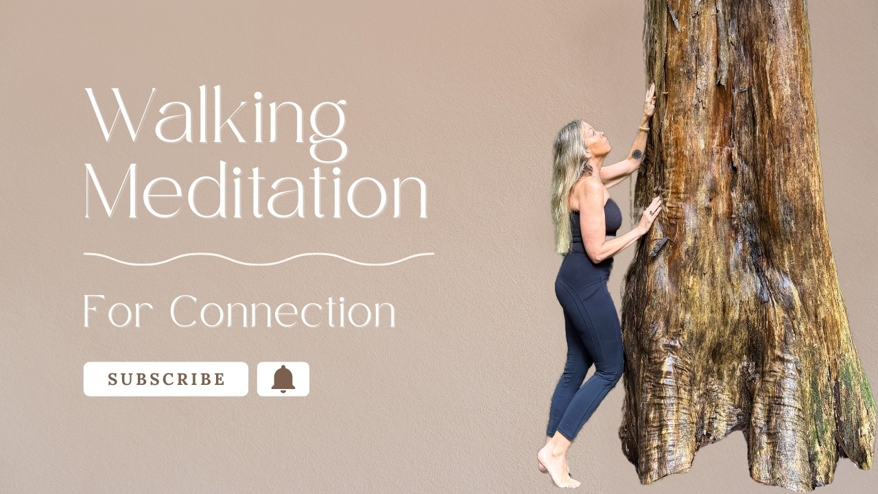 Walking Meditation for Calm & Connection | Australian Rainforest | Lisa Aitken