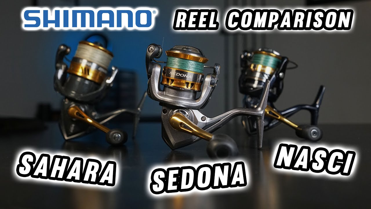 Shimano Sedona, Sahara и Nasci: что вам нужно? (Полное сравнение)